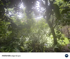 নাটোর সদরে ২ বেডরুমের বাড়ি বিক্রয় হবে