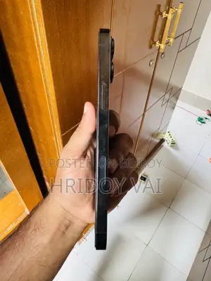 Apple iPhone 13 Pro Max 256 GB Black