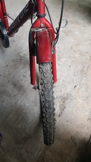 Seventy One Cycle