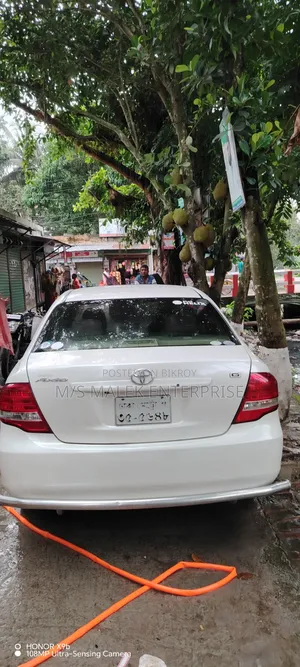 Toyota Axio 2008 Pearl
