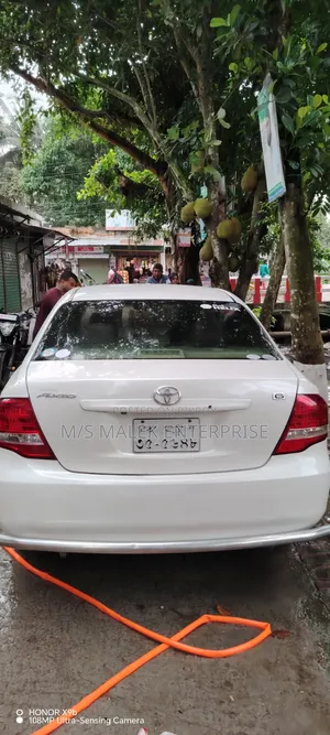 Toyota Axio 2008 Pearl