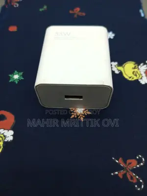 Original Xiaomi 33 Watt Charger