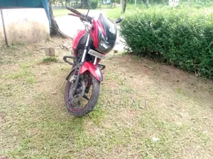 TVS Apache RTR 160 2V 2016 Red