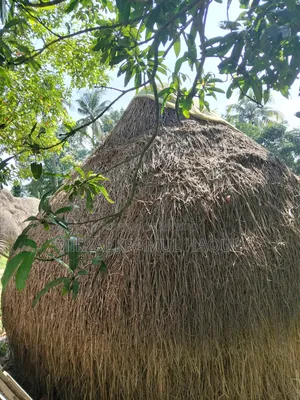 বিক্রয়ের জন্য ভালো মানের ধানের খড়ের পালা গরুর খামারের কাজে উপযোগী