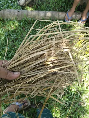 বিক্রয়ের জন্য ভালো মানের ধানের খড়ের পালা গরুর খামারের কাজে উপযোগী