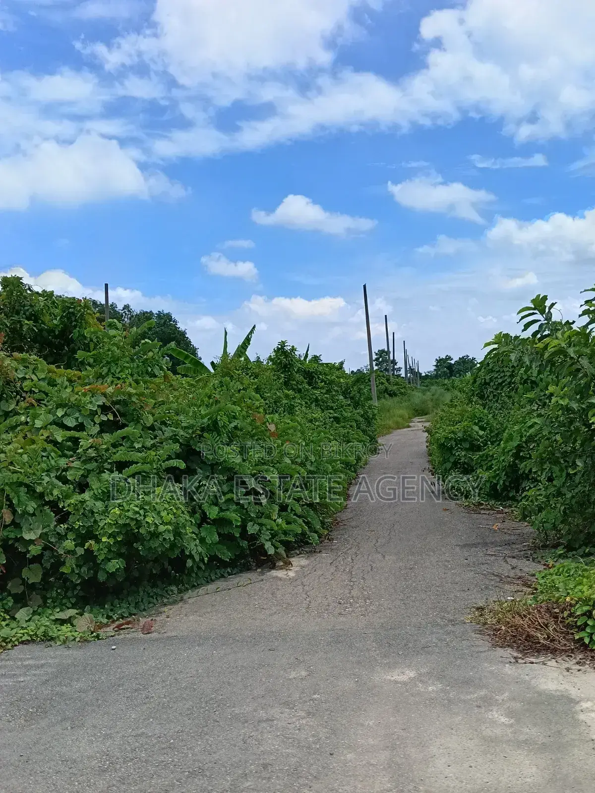 Sector-22, Category Private Service 3 Katha Plot Sale