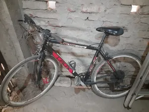 Laux 700c Robzi Bicycle