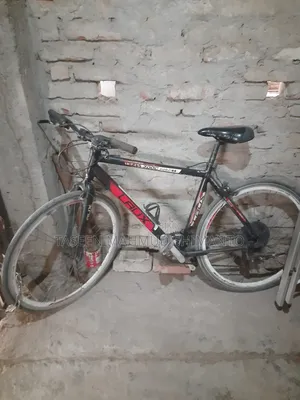 Laux 700c Robzi Bicycle