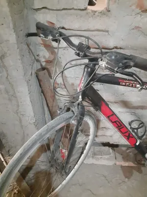 Laux 700c Robzi Bicycle