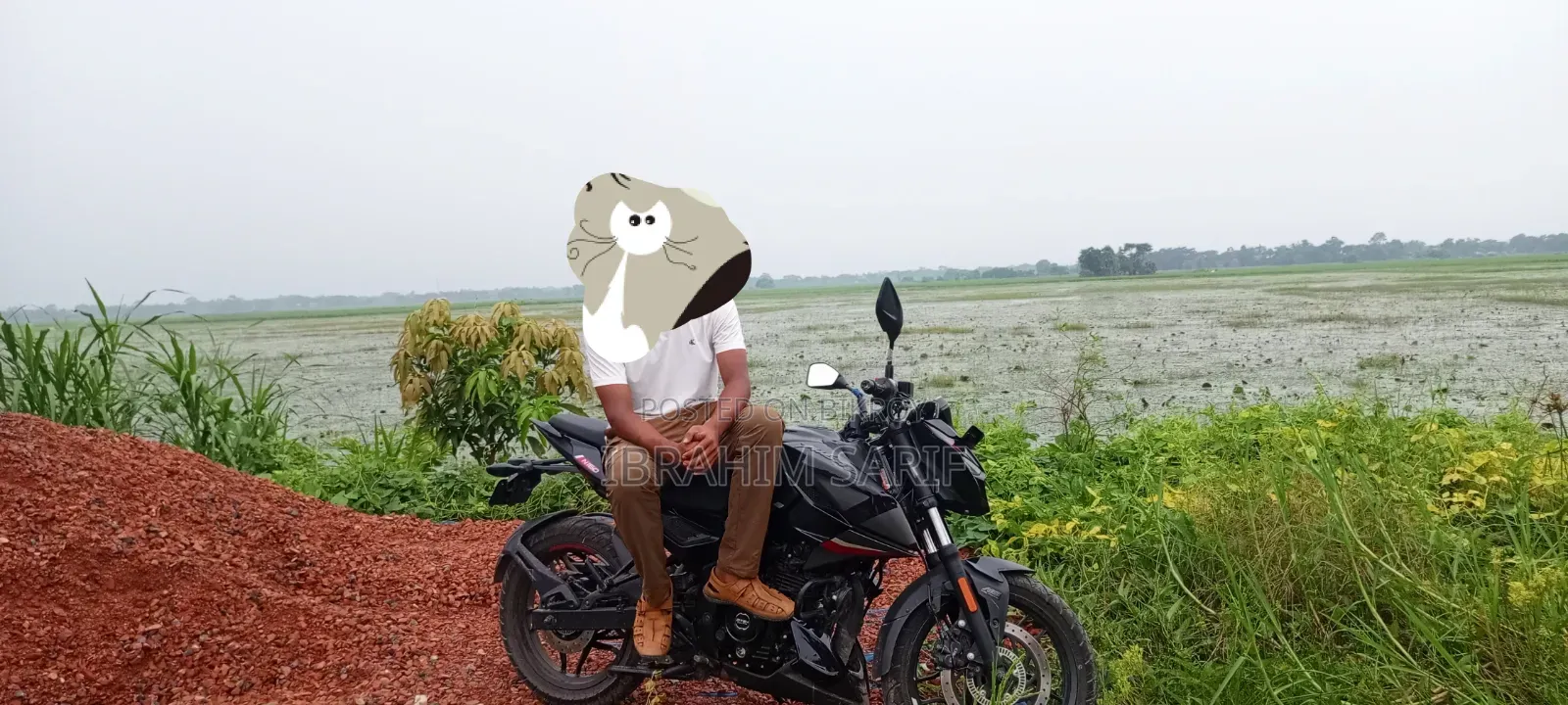 Bajaj Pulsar N160 2023 Black