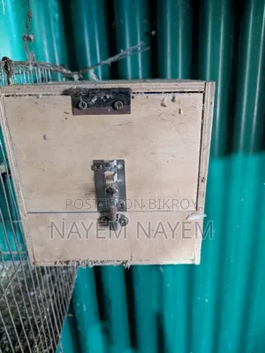 Breeding Box, Love Bird Cokatel