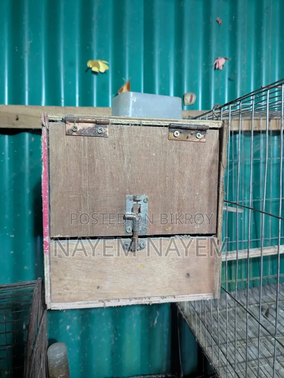 Breeding Box, Love Bird Cokatel