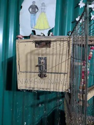 Breeding Box, Love Bird Cokatel