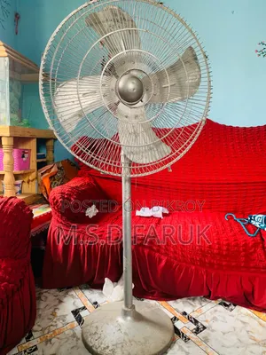 Big Stand Fan