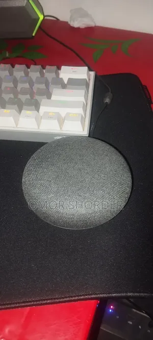 Google Home Mini