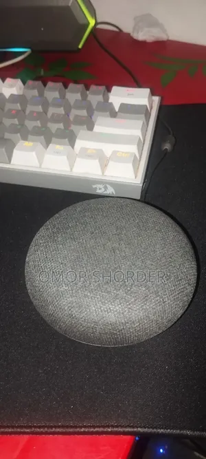 Google Home Mini