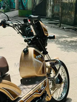 টিভিএস এক্সএল ১০০ কমফোর্ট ২০২৫ গোল্ড