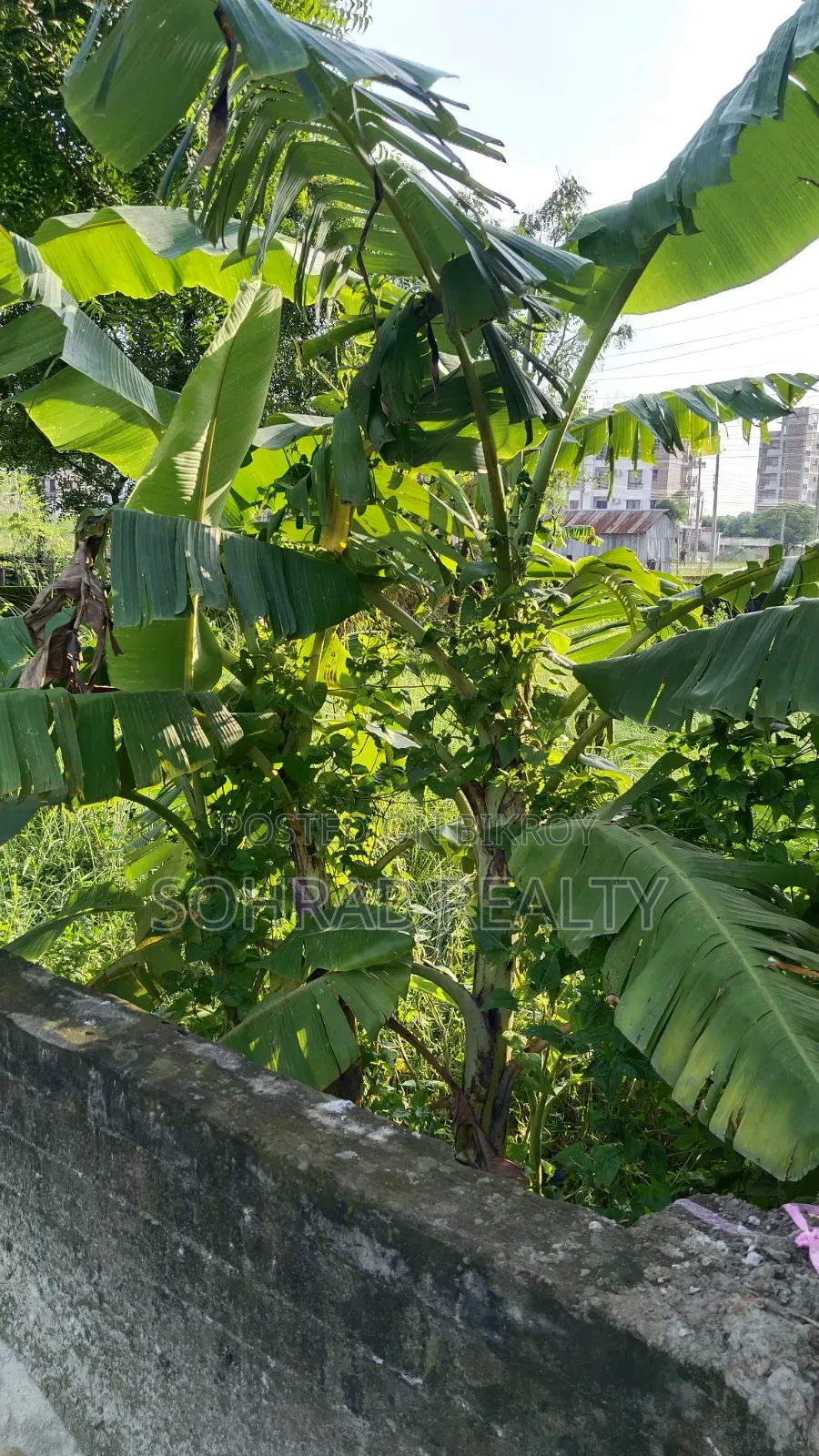 ৩ কাঠা (পূর্বমুখী) সেক্টর #১৭/এইচ, উত্তরা
