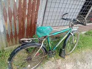Non-gear bicycle