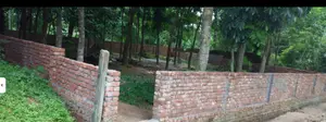 দর্জি বাড়ি পূর্বাচল সংলগ্ন ৮ শতক জমি | Owner Sale | শতাংশ ১২.৫ লক্ষ