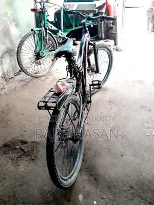 Non-Gear Bicycle