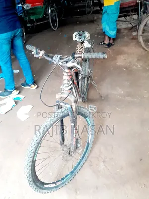 Non-Gear Bicycle