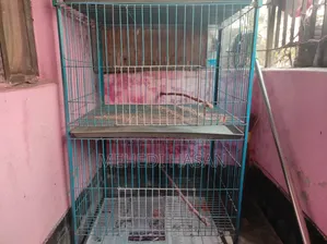 2-Story Cage (2 units)