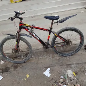 সাইকেলটাই বিক্রয় করা হইবে