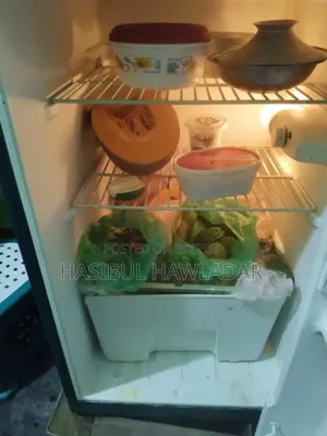 LG Fridge in Fresh Condition