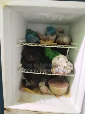 LG Fridge in Fresh Condition