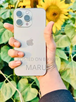 Apple iPhone 15 Pro Max 256 GB Silver