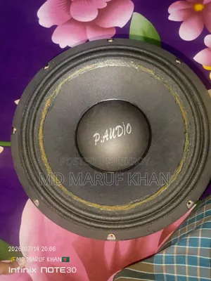 P AUDIO Original Speaker