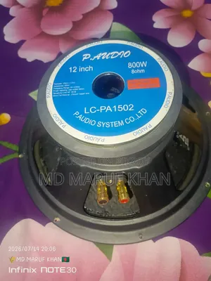 P AUDIO অরিজিনাল স্পিকার