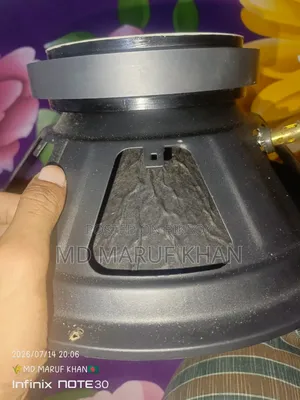 P AUDIO অরিজিনাল স্পিকার