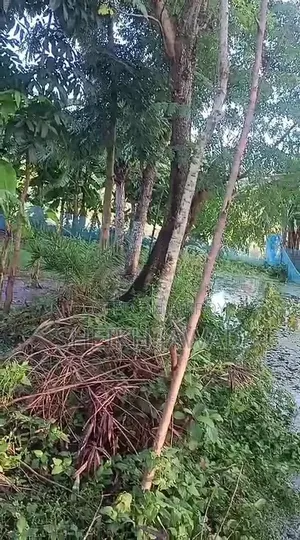 Land for Sale - 6.6 Shotok (4 Katha)