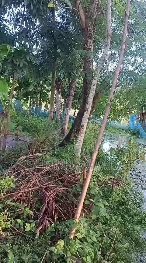 Land for Sale - 6.6 Shotok (4 Katha)