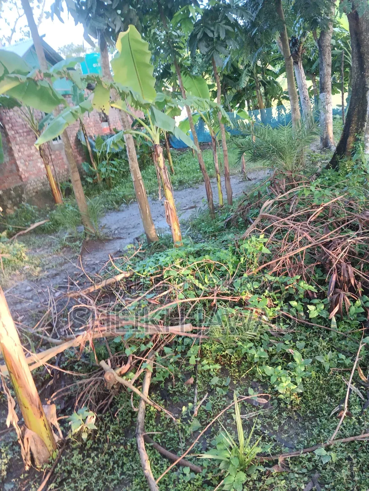 Land for Sale - 6.6 Shotok (4 Katha)