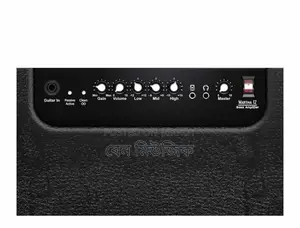 45 Watt Bass Guitar Amp - Alphanso Martina 12