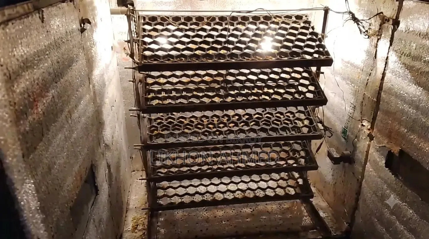 Egg Incubator 500 Capacity