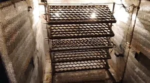 Egg Incubator 500 Capacity