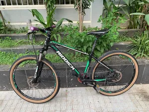 রিডিক ৩০০ ২৭.৫ সাইকেল