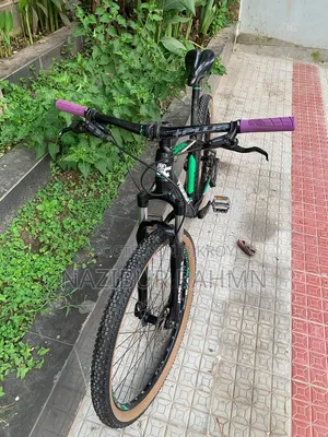 Riddick 300 27.5 Cycle