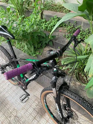 Riddick 300 27.5 Cycle
