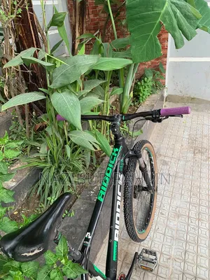 Riddick 300 27.5 Cycle