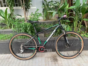 Riddick 300 27.5 Cycle