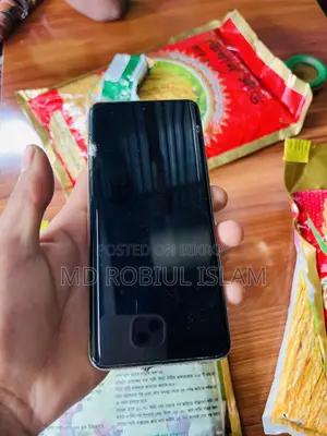 Realme 13 Pro+ 5G 256 GB Silver