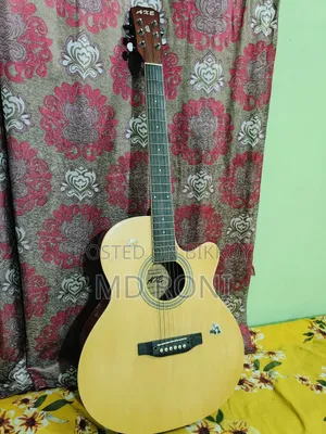 Musical Instrument Guitar