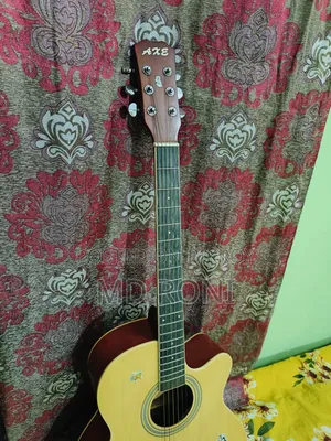 বাদ্যযন্ত্র গিটার