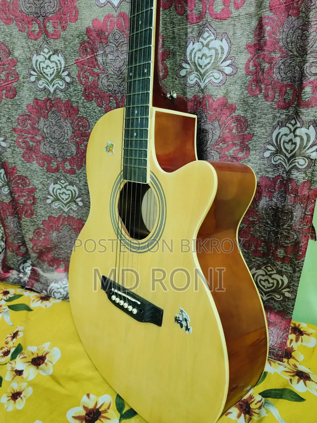বাদ্যযন্ত্র গিটার
