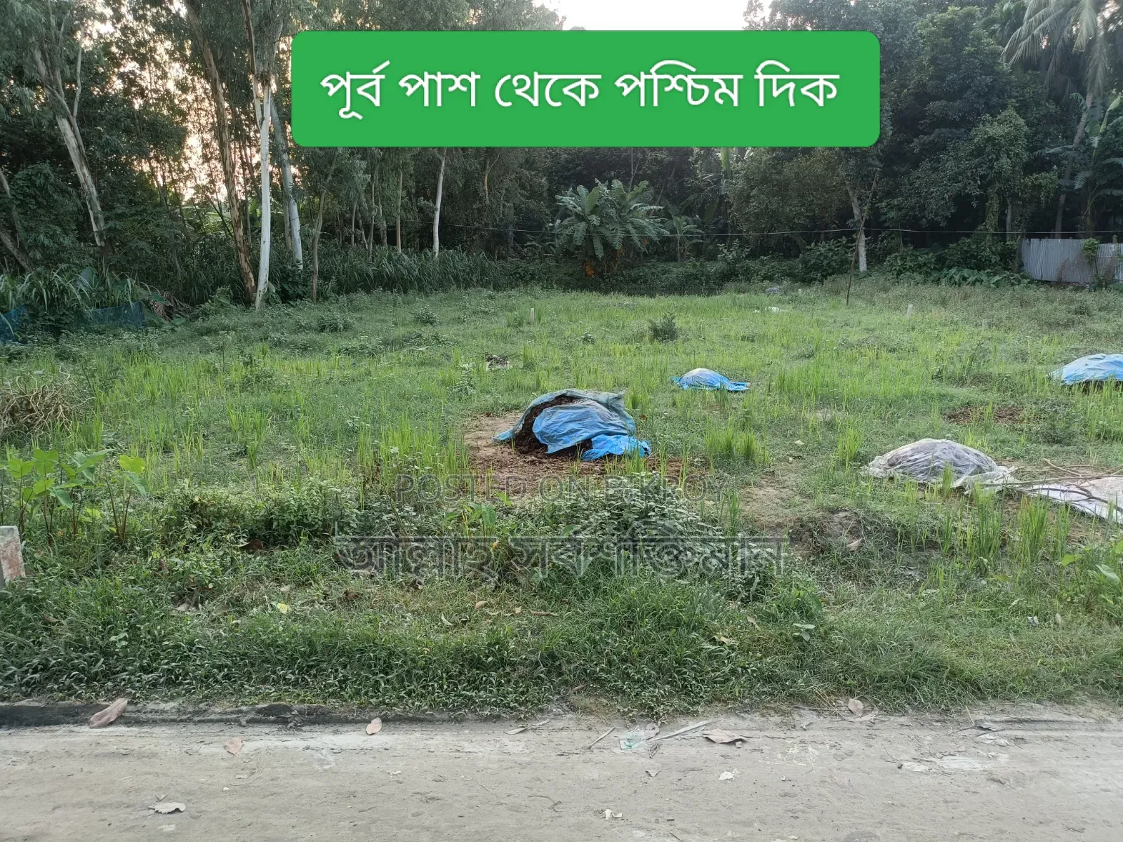 প্লট আকারে জমি বিক্রি হবে